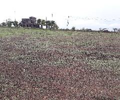  Agricultural Land for Sale in Baramati, Pune