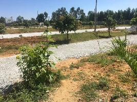  Agricultural Land for Sale in Bannerghatta Road, Bangalore