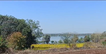  Residential Plot for Sale in Dyane, Nashik