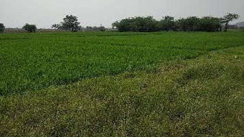  Agricultural Land for Sale in Ibrahimpatnam, Hyderabad