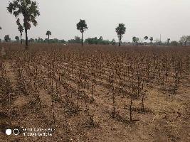  Agricultural Land for Sale in Sagar Highway, Hyderabad