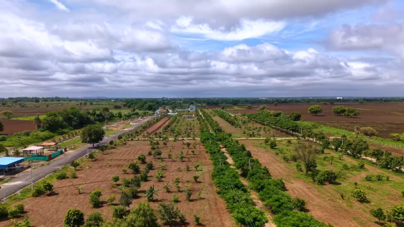  1485 Sq.ft. Residential Plot for Sale in Pedda Shapur, Hyderabad