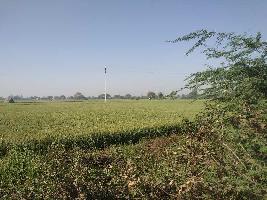 Agricultural Land for Sale in Hattipura, Bundi