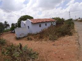  Agricultural Land for Sale in Chettinayakampatti, Dindigul