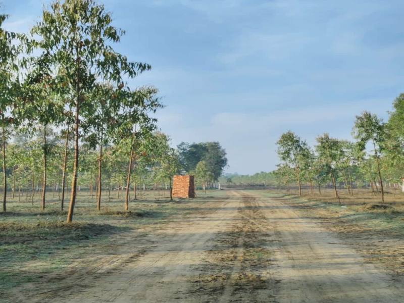  Residential Plot 100 Sq. Yards for Sale in Behat, Saharanpur