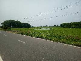 Agricultural Land for Sale in Kakkalur, Thiruvallur