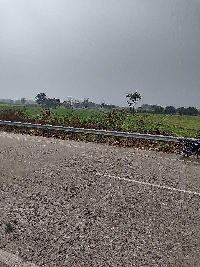  Agricultural Land for Sale in Gulaothi, Bulandshahr