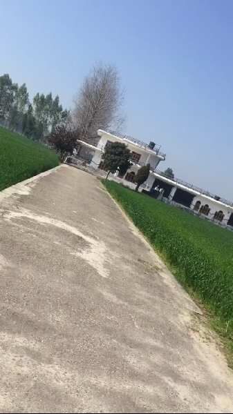 3 BHK Farm House 1 Acre for Sale in Garhshankar, Hoshiarpur