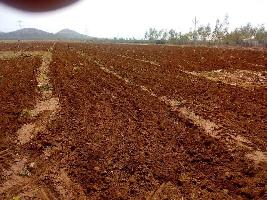  Agricultural Land for Sale in Patamata, Vijayawada