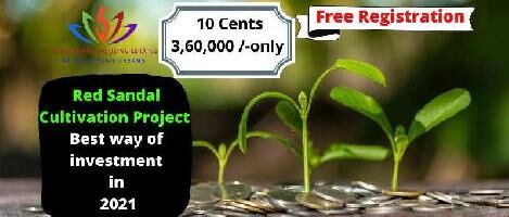  Agricultural Land for Sale in Patamata, Vijayawada