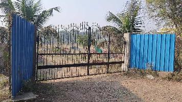  Agricultural Land for Sale in Dahanu, Thane