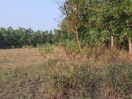  Commercial Land for Sale in Wada, Palghar