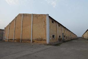  Warehouse for Rent in Old Rajpura, 
