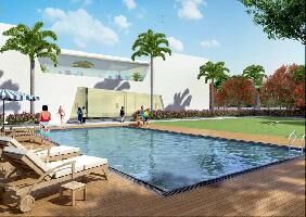  Residential Plot for Sale in Kumhari, Raipur