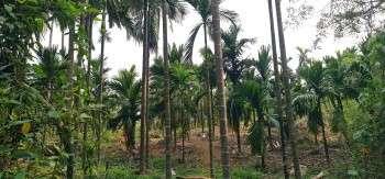 Agricultural Land for Sale in Nelyadi, Dakshin Kannad