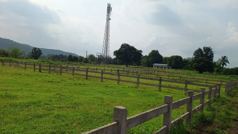  3500 Sq.ft. Residential Plot for Sale in Karjat, Mumbai