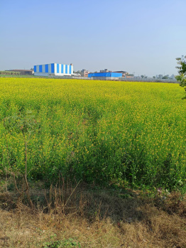  Industrial Land for Sale in Baghpat Road, Meerut