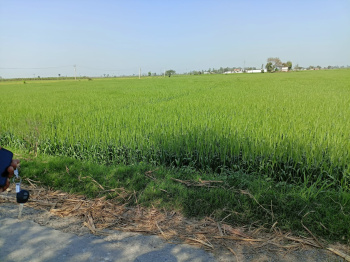  Agricultural Land for Sale in Hastinapur, Meerut