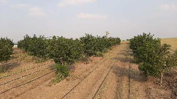  Agricultural Land for Sale in Kharabwadi, Pune
