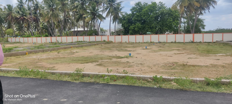  Residential Plot 1200 Sq.ft. for Sale in Karumandapam, Tiruchirappalli