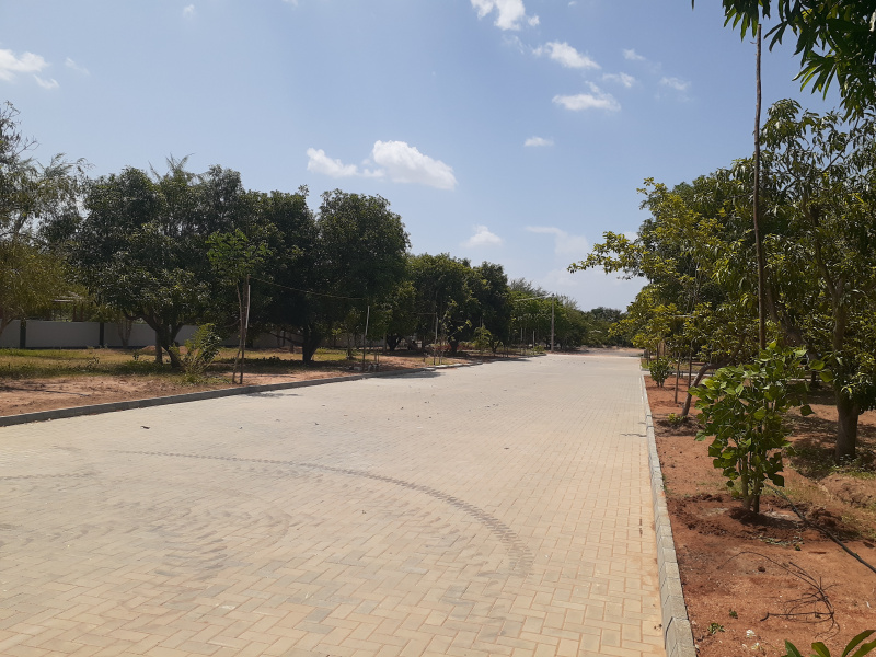  Residential Plot 1500 Sq.ft. for Sale in Panjapur, Tiruchirappalli