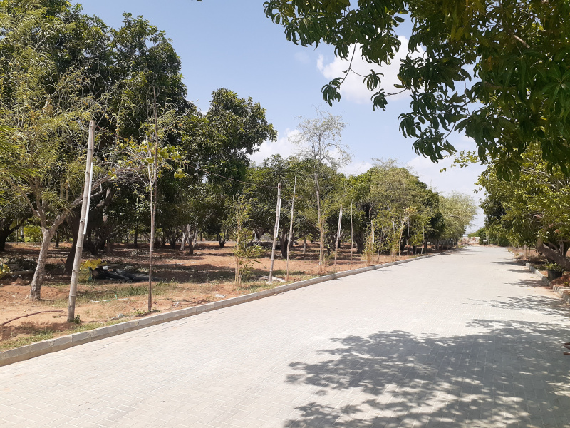  Residential Plot 1200 Sq.ft. for Sale in KK Nagar, Tiruchirappalli
