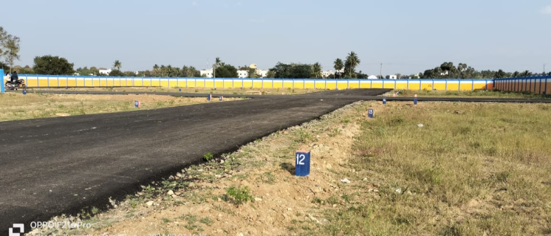  Residential Plot 1500 Sq.ft. for Sale in Panjapur, Tiruchirappalli
