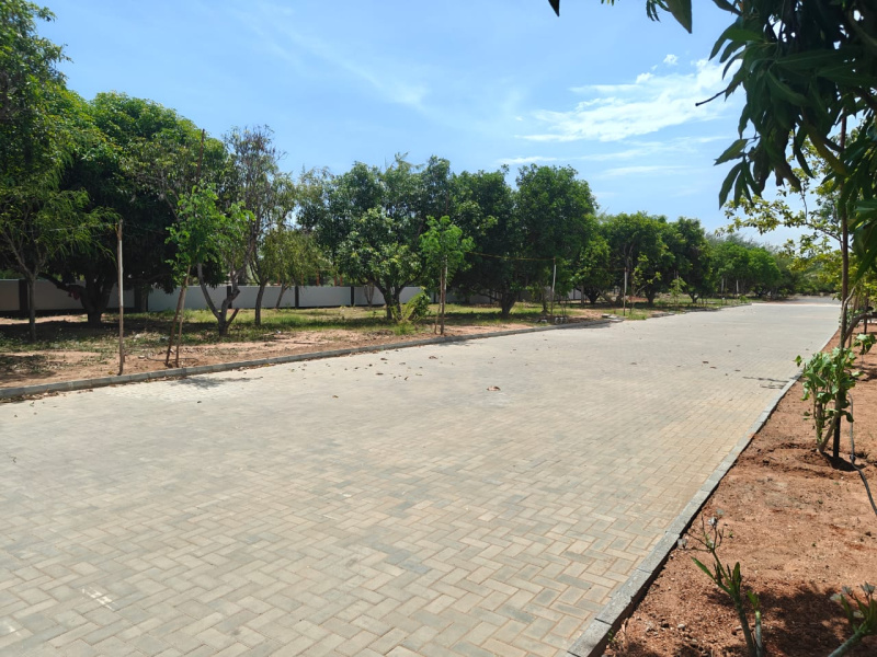  1200 Sq.ft. Residential Plot for Sale in Panjapur, Tiruchirappalli