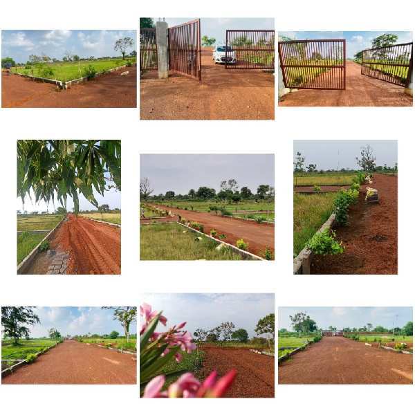  1000 Sq.ft. Residential Plot for Sale in Naya Raipur, Raipur