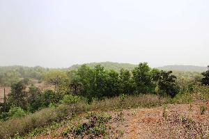  Agricultural Land for Sale in Kudal, Sindhudurg