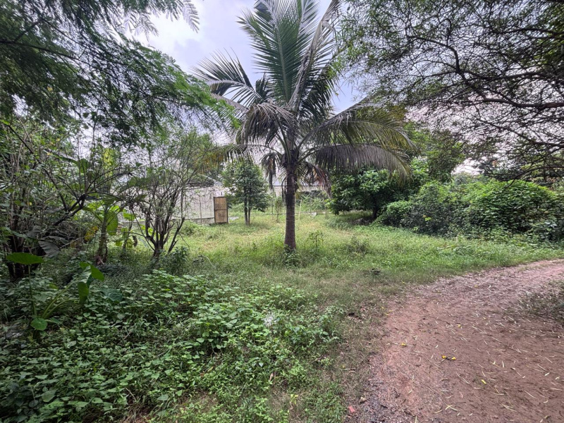  16552 Sq.ft. Residential Plot for Sale in Morabadi, Ranchi