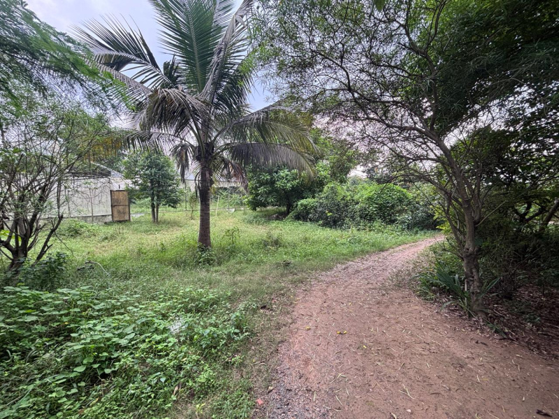  16552 Sq.ft. Residential Plot for Sale in Morabadi, Ranchi
