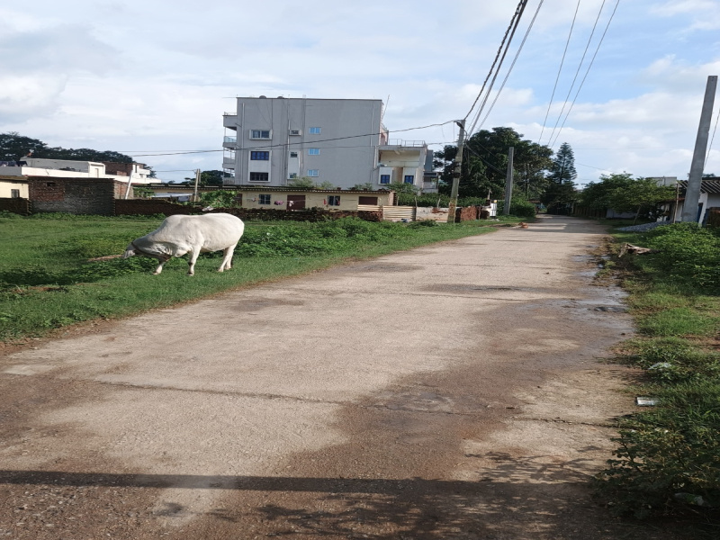  2918 Sq.ft. Residential Plot for Sale in Tupudana, Ranchi