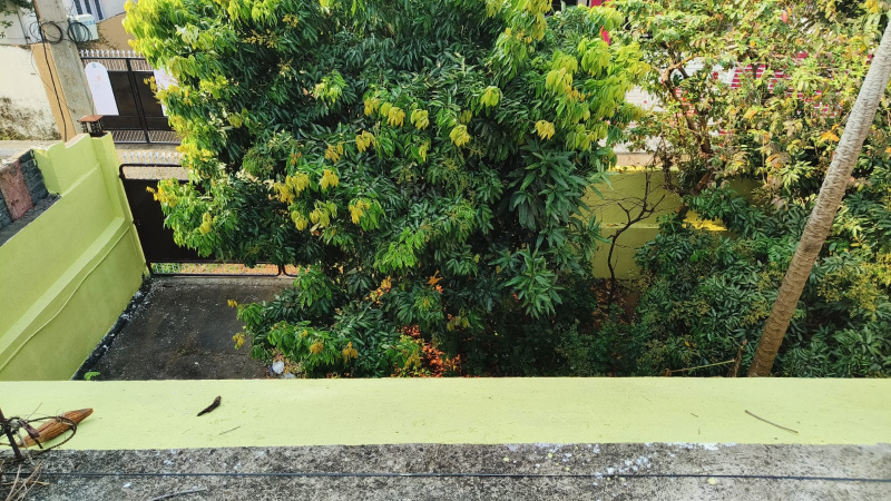 3 BHK 2999 Sq.ft. Apartment for Rent in Bariatu, Ranchi