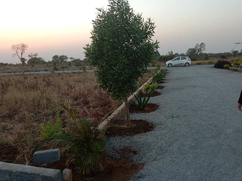  1000 Sq.ft. Residential Plot for Sale in Naya Raipur, Raipur