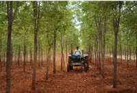  Agricultural Land for Sale in Bhogapuram, Visakhapatnam