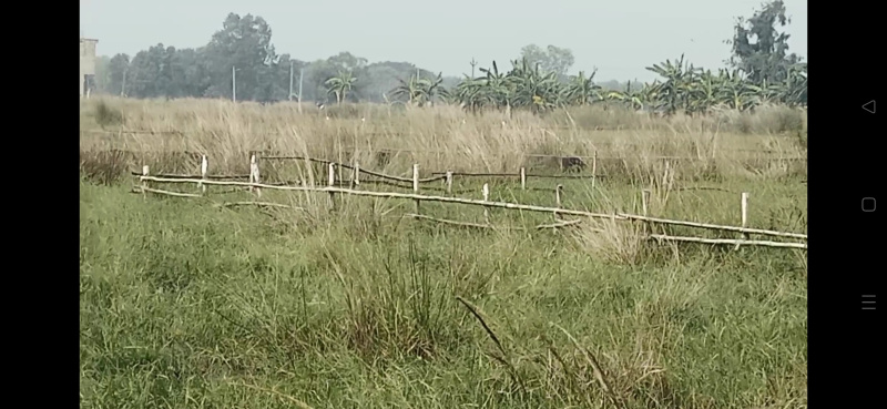  39204 Sq.ft. Residential Plot for Sale in Bata Mangala, Puri