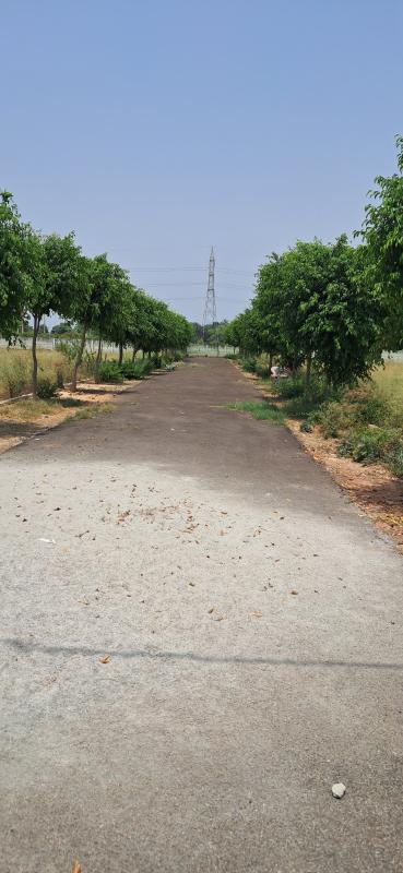  Residential Plot 1000 Sq.ft. for Sale in Sitapur Road, Sitapur Road, Lucknow
