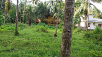  Residential Plot for Sale in Payyoli, Kozhikode