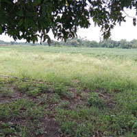 Agricultural Land for Sale in Sehore Road, Bhopal
