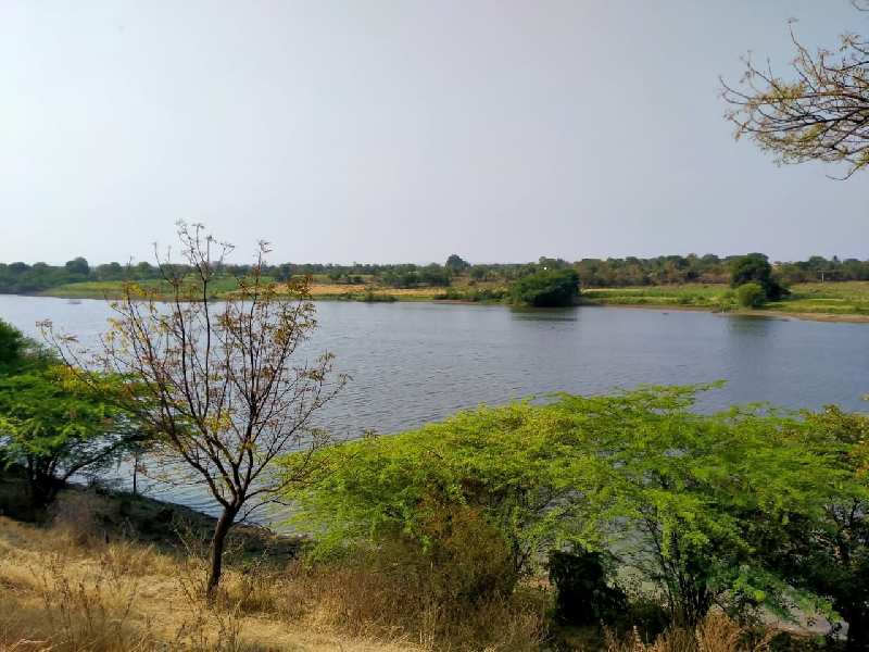  Agricultural Land 605 Sq. Yards for Sale in Narayankhed, Sangareddy