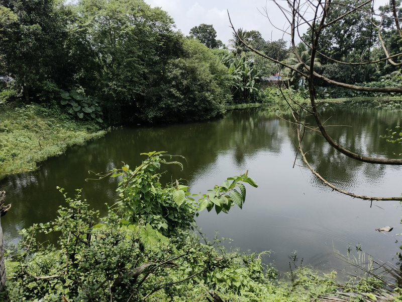  Agricultural Land 46800 Sq.ft. for Sale in Bangaon, North 24 Parganas