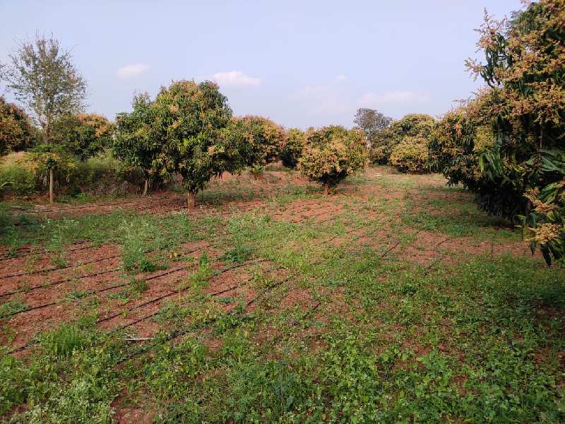 Agricultural Land 5 Acre for Sale in Denkanikottai Road, Hosur (REI940140)