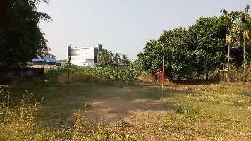  Residential Plot for Sale in Peringavu, Thrissur