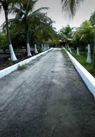  Agricultural Land 10000 Sq.ft. for Sale in Olakkur, Villupuram