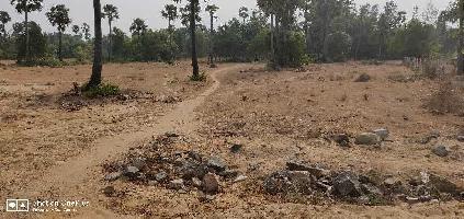  Agricultural Land for Sale in Kalpakkam To Vandalur Road, Chennai