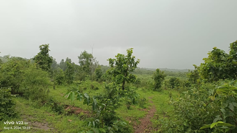  Agricultural Land 40 Ares for Sale in Kudal, Sindhudurg