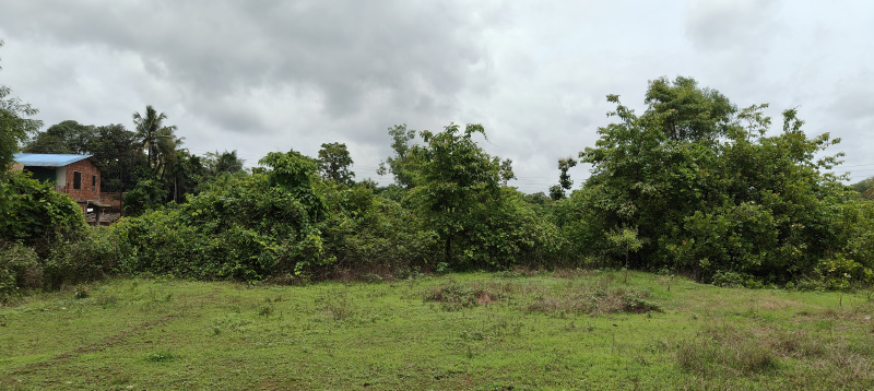  Residential Plot 30 Guntha for Sale in Kudal, Sindhudurg