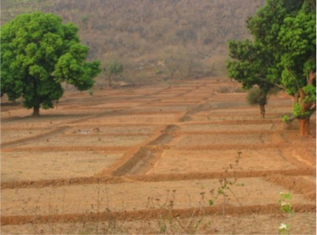  Agricultural Land for Sale in Japanese Zone, Neemrana, Alwar