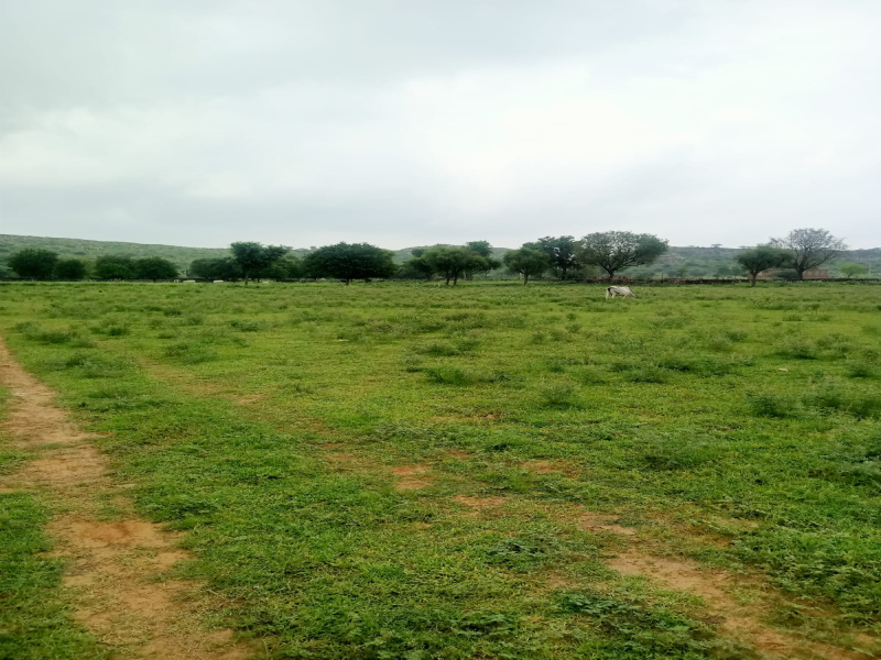 Agricultural Land 22 Bigha for Sale in Chandwaji, Jaipur